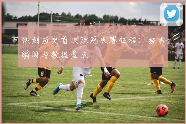 热刺历史首次欧冠决赛征程:经典瞬间与数据盘点